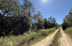 NE 150 Court, Williston Highlands, FL 32696