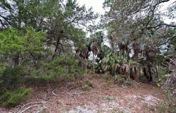 Indiana Ave, Cedar Key, FL 32625