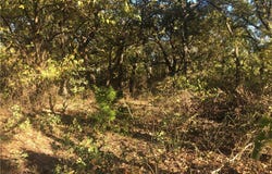 Starr Mann, St Jo, TX 76265