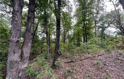 Patridge Drive, Climax Springs, MO 65324