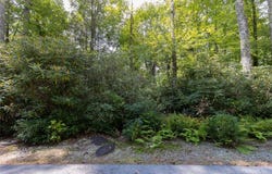 L 295 Whisper Winds Court lot: 295, Sapphire, NC 28774