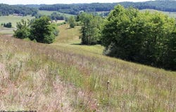 Ashburn Drive, Buckhannon, WV 26201