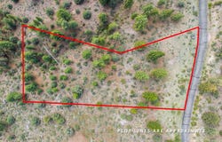 17 Raymond View Road, Markleeville, CA 96120