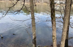MOHAWK CLIFF ROAD lot: 5, OHATCHEE, AL 36271