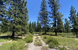 2-E-15 Snowline Cir, McCloud, CA 96057