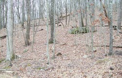 2.65 Acres Decker rd, Bushkill, PA 18324