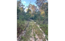 Hammock Road, Carriere, MS 39426