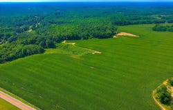 State Route 22A S, Henderson, TN 38340