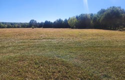 2065 Normandy Road, Fordland, MO 65652