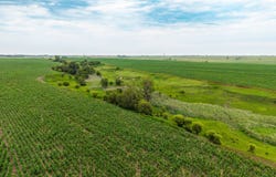 380th Ave, Palco, KS 67657