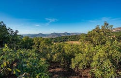 10975 Old Oak Holler, Valley Center, CA 92082