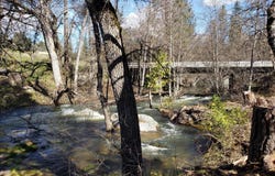 Road 225, North Fork, CA 93643