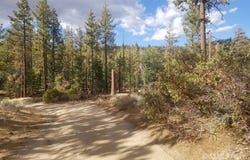 Piute Pines, Caliente, CA 93518