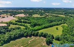 37 Old McLemore Road, Taft, TN 38488