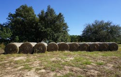 cr4301 Plainview Road, Naples, TX 75571