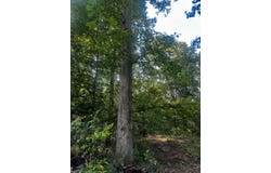 Gum Stump Rd W, Aid, OH 45659