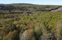 Off Hoist Road, Negaunee, MI 49866
