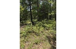2830 tiger b Road, Drasco, AR 72530