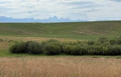 4423 Chickadee Lane, Ashton, ID 83420