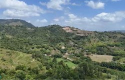 Jayuya, Jayuya, PR 00664
