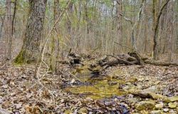 Alyeska Point Road, Lampe, MO 65681