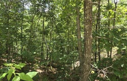 Tract 8 Highway C, Purdy, MO 65734