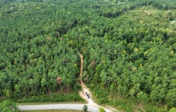 Hwy 331, OXFORD, MS 38655
