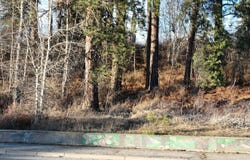 Highway 2 lot: 5 & 6, Priest River, ID 83856