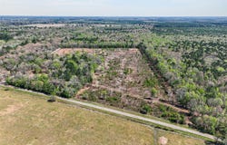 14 +/- Acres County Road 4223, Simms, TX 75574
