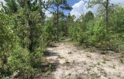 403 LILY Trail, Interlachen, FL 32148