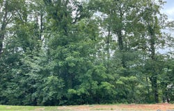 2610 Legacy Preserve Drive, Brownsboro, AL 35741