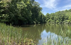 9713 E Birch Road, Bloomfield, IN 47424
