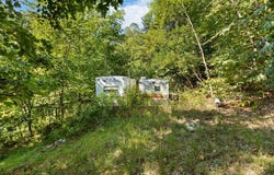 S LONG BRANCH Ln, Lexington, VA 24450