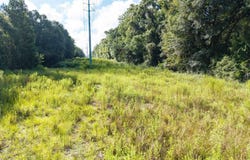 14524 208TH STREET, OBrien, FL 32071