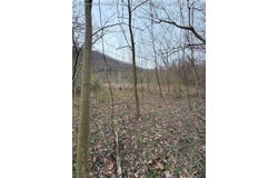 120 River Way Road, Cedar Grove, WV 25039