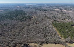 County Road 3207, DeKalb, TX 75559