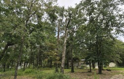 DeFuniak Springs, FL 32433