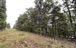 Fernwood Drive, Theodosia, MO 65761