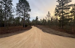SE 4TH Street, WILLISTON, FL 32696