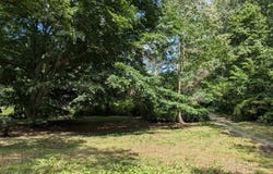15810 MOUNT EVEREST LN, SILVER SPRING, MD 20906
