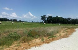 County Road 231, Centerville, TX 75833