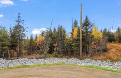Moose Alley Road lot: 13, Temple, ME 04984
