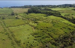 1-3 PRIVATE RD, Hakalau, HI 96710