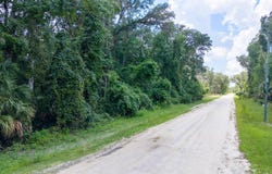 NE 262nd Ave, Old Town, FL 32680