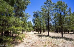 5330 E Nordica Loop, Flagstaff, AZ 86004