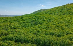 TBD Audrey Lane, Montvale, VA 24122