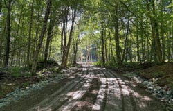 1060 Deer Run Rd., Hancock, NY 13783
