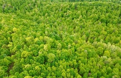 100A Open Fork Road, Morehead, KY 40351