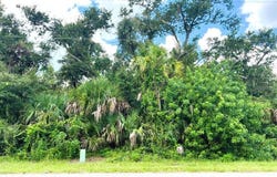 323 CANORA DRIVE, PORT CHARLOTTE, FL 33954