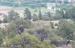 Little Bear Circle lot 54, South Fork, CO 81154